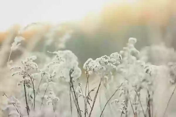 Foto de natureza ilustrativa do versículo da Bíblia: Isaías 41:18 - Abrirei rios nos altos desnudados, e fontes no meio dos vales; tornarei o deserto num lago d'água, e a terra seca em mananciais.