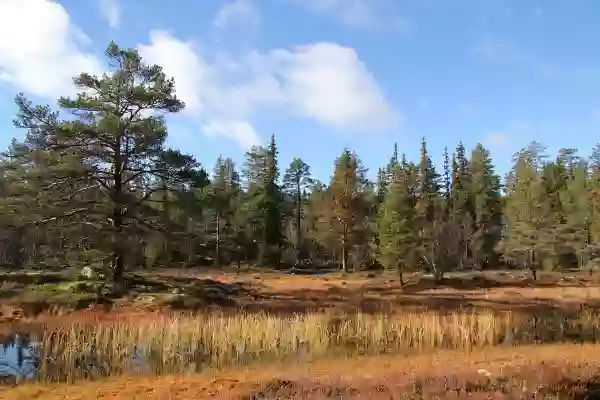 Foto de natureza ilustrativa do versículo da Bíblia: Daniel 9:22 - Ele me instruiu, e falou comigo, dizendo: Daniel, agora vim para fazer-te entender o sentido.