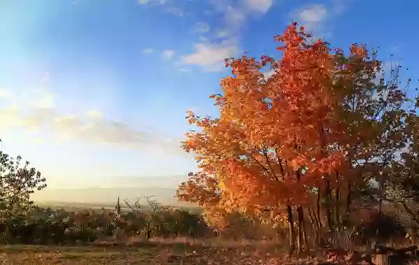 Foto de natureza ilustrativa do versículo da Bíblia: Mateus 10:2 - Ora, os nomes dos doze apóstolos são estes: o primeiro, Simão, chamado Pedro, e André, seu irmão; Tiago, filho de Zebedeu, e João, seu irmão;