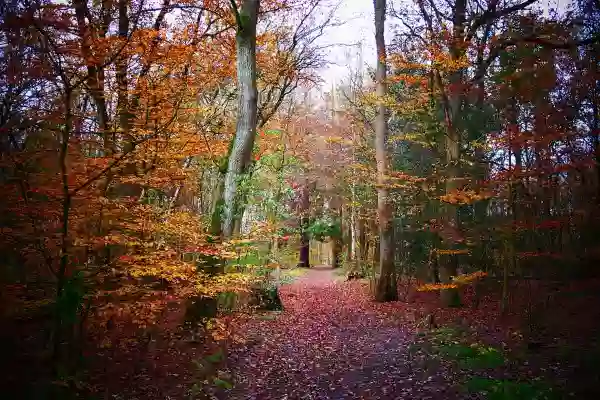 Foto de natureza ilustrativa do versículo da Bíblia: Mateus 10:34 - Não penseis que vim espalhar paz na terra; não vim espalhar paz, mas espada.