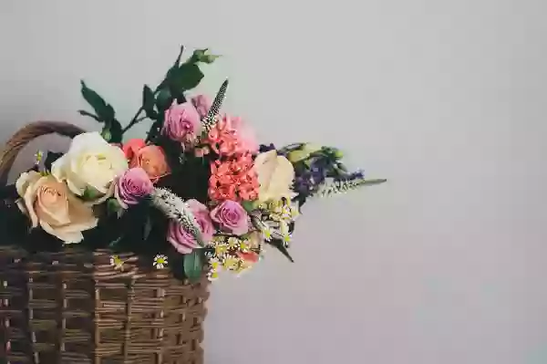 Foto de natureza ilustrativa do versículo da Bíblia: Isaías 41:15 - Eis que farei de ti um trilho novo, que tem dentes agudos; os montes trilharás e os moerás, e os outeiros tornarás como a pragana.