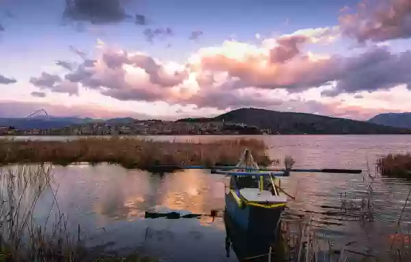 Foto de natureza ilustrativa do versículo da Bíblia: Oséias 5:14 - Porque para Efraim serei como um leão, e como um leão novo para a casa de Judá; eu, eu mesmo, despedaçarei e irei embora; arrebatarei e não haverá quem livre.