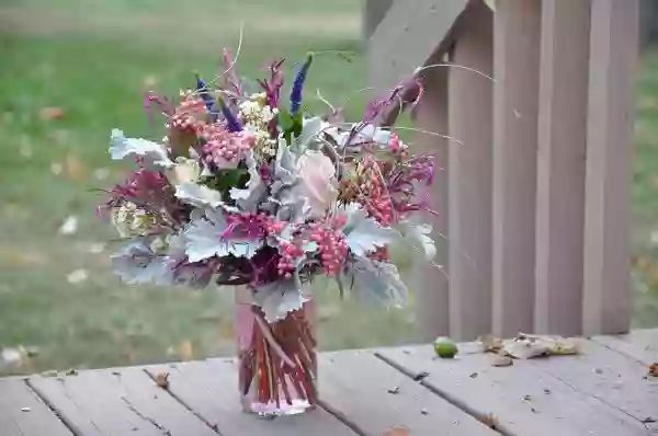 Foto de natureza ilustrativa do versículo da Bíblia: Daniel 2:13 - Saiu, pois, o decreto, segundo o qual deviam ser mortos os sábios; e buscaram a Daniel e aos seus companheiros, para que fossem mortos.