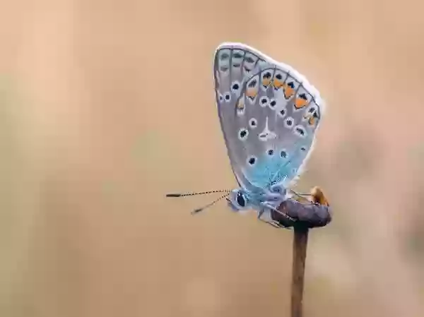 Foto de natureza ilustrativa do versículo da Bíblia: Mateus 18:6 - Mas qualquer que escandalizar a um destes pequeninos que creem em mim, melhor lhe fora que uma pedra de moinho fosse pendurada ao seu pescoço, e fosse afogado na profundeza do mar.