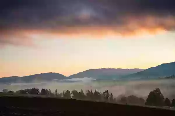 Foto de natureza ilustrativa do versículo da Bíblia: Levítico 7:21 - E, se alguma pessoa, tendo tocado alguma coisa imunda, como imundícia de homem, ou gado imundo, ou qualquer abominação imunda, comer da carne do sacrifício da oferta pacífica, que pertence ao Senhor, essa pessoa será extirpada do seu povo.