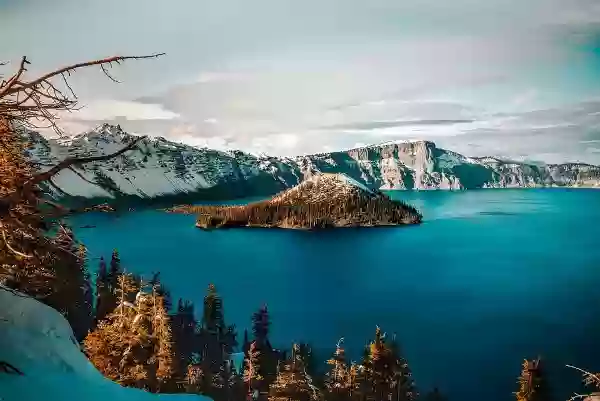 Foto de natureza ilustrativa do versículo da Bíblia: Levítico 7:29 - Fala aos filhos de Israel, dizendo: Quem oferecer sacrifício de oferta pacífica ao Senhor trará ao Senhor a respectiva oblação da sua oferta pacífica.