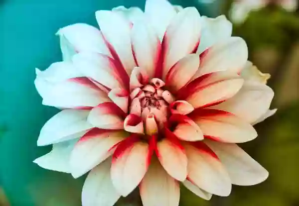 Foto de natureza ilustrativa do versículo da Bíblia: Daniel 2:30 - E a mim me foi revelado este mistério, não por ter eu mais sabedoria que qualquer outro vivente, mas para que a interpretação se fizesse saber ao rei, e para que entendesses os pensamentos do teu coração.