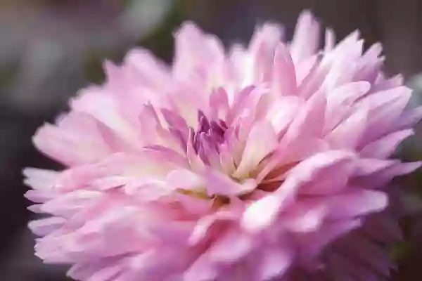 Foto de natureza ilustrativa do versículo da Bíblia: Daniel 2:34 - Estavas vendo isto, quando uma pedra foi cortada, sem auxílio de mãos, a qual feriu a estátua nos pés de ferro e de barro, e os esmiuçou.