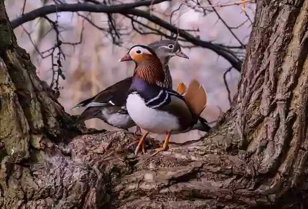 Foto de natureza ilustrativa do versículo da Bíblia: Mateus 10:37 - Quem ama pai ou mãe mais do que a mim não é digno de mim; e quem ama filho ou filha mais do que a mim não é digno de mim.