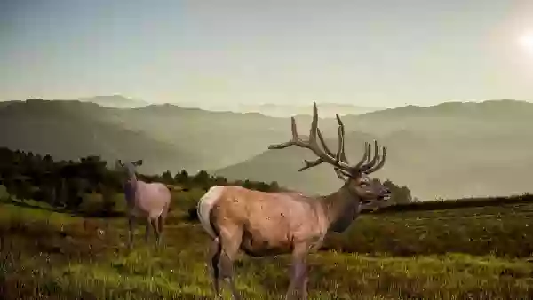 Foto de natureza ilustrativa do versículo da Bíblia: Isaías 41:26 - Quem anunciou isso desde o princípio, para que o possamos saber? Ou dantes, para que digamos: Ele é justo? Mas não há quem anuncie, nem tampouco quem manifeste, nem tampouco quem ouça as vossas palavras.