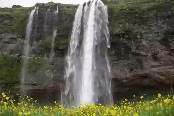 Foto de natureza ilustrativa do versículo da Bíblia: Oséias 11:8 - Como te deixaria, ó Efraim? Como te entregaria, ó Israel? Como te faria como Admá? Ou como Zeboim? Está comovido em mim o meu coração, as minhas compaixões à uma se acendem.