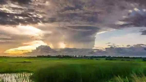 Foto de natureza ilustrativa do versículo da Bíblia: Levítico 7:20 - todavia, se alguma pessoa, estando imunda, comer a carne do sacrifício da oferta pacífica, que pertence ao Senhor, essa pessoa será extirpada do seu povo.