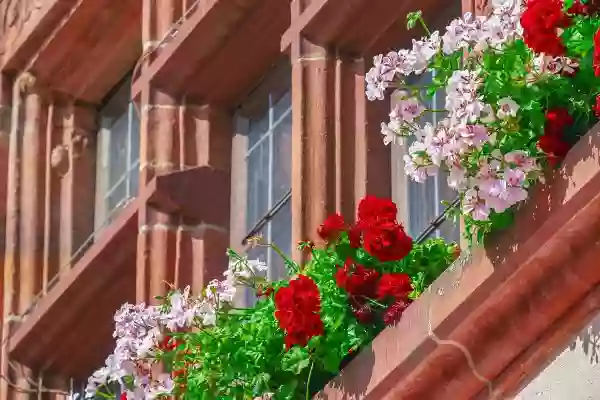 Foto de natureza ilustrativa do versículo da Bíblia: Daniel 3:4 - E o pregoeiro clamou em alta voz: A vós é ordenado, ó povos, nações e gentes de todas as línguas: