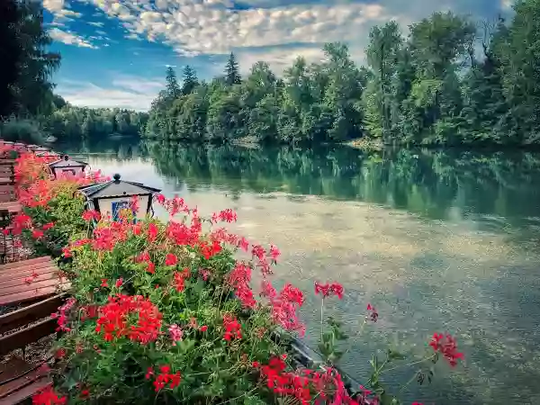 Foto de natureza ilustrativa do versículo da Bíblia: Mateus 13:28 - E ele lhes disse: Um inimigo fez isso. E os servos lhe disseram: Queres, pois, que vamos e o ajuntemos?