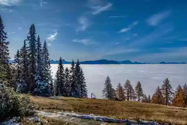 Foto de natureza ilustrativa do versículo da Bíblia: Daniel 4:18 - Este sonho eu, rei Nabucodonozor, o vi. Tu, pois, Beltessazar, dize a interpretação; porquanto todos os sábios do meu reino não puderam fazer-me saber a interpretação; mas tu podes; pois há em ti o Espírito dos deuses santos.