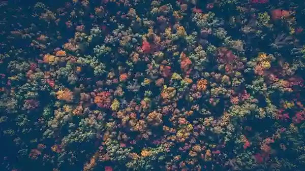 Foto de natureza ilustrativa do versículo da Bíblia: Oséias 6:7 - Eles, porém, como Adão, transgrediram a aliança; ali eles se portaram traiçoeiramente contra mim.