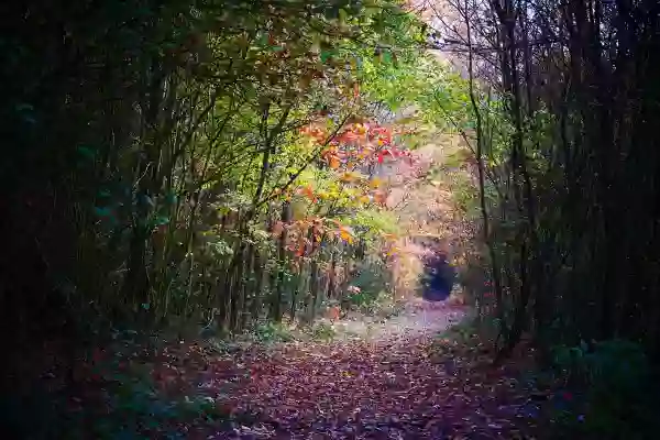 Foto de natureza ilustrativa do versículo da Bíblia: Mateus 14:26 - E quando os discípulos o viram andando sobre o mar, ficaram aterrados e disseram: É um fantasma! E gritaram de medo.