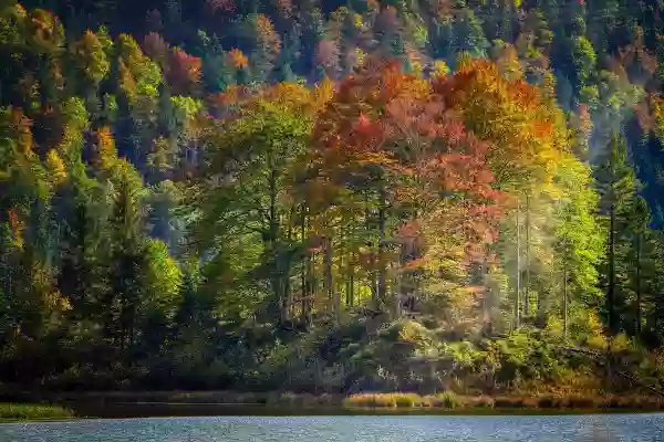Foto de natureza ilustrativa do versículo da Bíblia: Isaías 40:28 - Não sabes, não ouviste que o eterno Deus, o Senhor, o Criador dos confins da terra, não se cansa nem se fatiga? É inescrutável o seu entendimento.