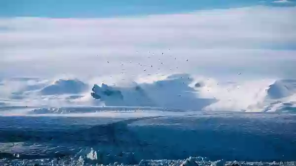 Foto de natureza ilustrativa do versículo da Bíblia: Oséias 8:9 - Porque subiram à Assíria, qual asno selvagem andando sozinho; Efraim alugou amantes.