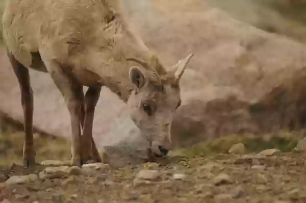 Foto de natureza ilustrativa do versículo da Bíblia: Mateus 11:16 - Mas, a quem compararei esta geração? É semelhante aos meninos que, sentados nas praças, clamam aos seus companheiros,