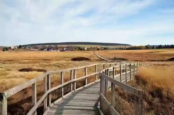 Foto de natureza ilustrativa do versículo da Bíblia: Daniel 3:6 - E qualquer que não se prostrar e não a adorar, será na mesma hora lançado dentro duma fornalha de fogo ardente.