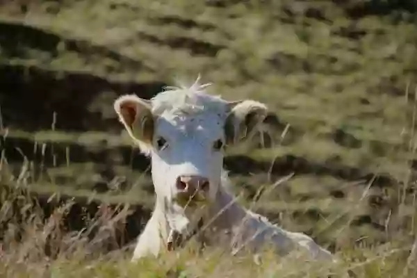 Foto de natureza ilustrativa do versículo da Bíblia: Mateus 12:39 - Mas ele lhes respondeu e disse: Uma geração má e adúltera pede um sinal; mas nenhum sinal lhe será dado, senão o sinal do profeta Jonas.