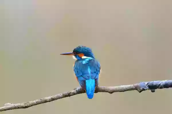 Foto de natureza ilustrativa do versículo da Bíblia: Daniel 4:19 - Então Daniel, cujo nome era Beltessazar, esteve atônito por algum tempo, e os seus pensamentos o perturbaram. Falou, pois, o rei e disse: Beltessazar, não te espante o sonho, nem a sua interpretação. Respondeu Beltessazar, e disse: Senhor meu, seja o sonho para os que te odeiam, e a sua interpretação para os teus inimigos: