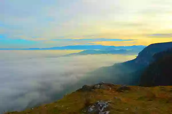 Foto de natureza ilustrativa do versículo da Bíblia: Mateus 10:16 - Eis que vos envio como ovelhas para o meio de lobos; portanto, sede prudentes como as serpentes e inofensivos como as pombas.