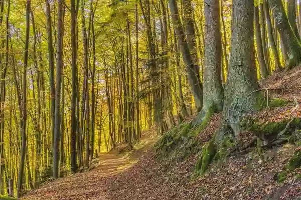 Foto de natureza ilustrativa do versículo da Bíblia: Daniel 3:19 - Então Nabucodonozor se encheu de raiva, e se lhe mudou o aspecto do semblante contra Sadraque, Mesaque e Abednego; e deu ordem para que a fornalha se aquecesse sete vezes mais do que se costumava aquecer;