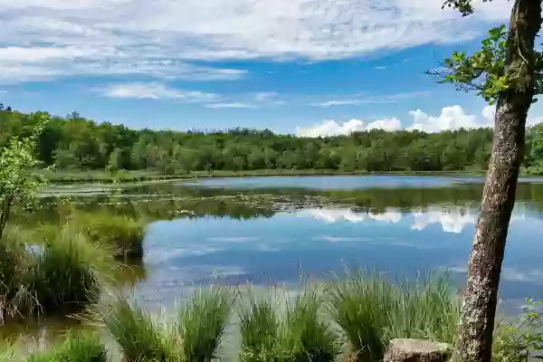 Foto de natureza ilustrativa do versículo da Bíblia: Isaías 42:16 - E guiarei os cegos por um caminho que não conhecem; fá-los-ei caminhar por veredas que não têm conhecido; tornarei as trevas em luz perante eles, e aplanados os caminhos escabrosos. Estas coisas lhes farei; e não os desampararei.