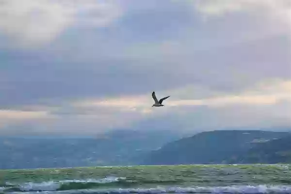 Foto de natureza ilustrativa do versículo da Bíblia: Mateus 12:18 - Eis aqui o meu servo, a quem escolhi, o meu amado em quem a minha alma se compraz; porei sobre ele o meu Espírito, e ele anunciará o juízo aos gentios.