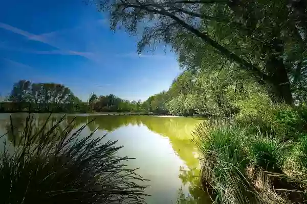 Foto de natureza ilustrativa do versículo da Bíblia: Levítico 9:4 - também um boi e um carneiro para ofertas pacíficas, para sacrificar perante o Senhor e oferta de cereais, amassada com azeite; porquanto hoje o Senhor vos aparecerá.