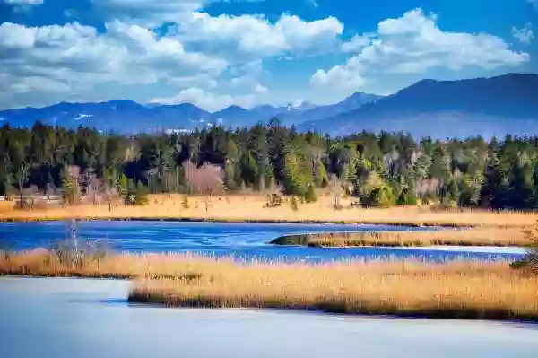 Foto de natureza ilustrativa do versículo da Bíblia: Isaías 41:11 - Eis que envergonhados e confundidos serão todos os que se irritam contra ti; tornar-se-ão em nada; e os que contenderem contigo perecerão.