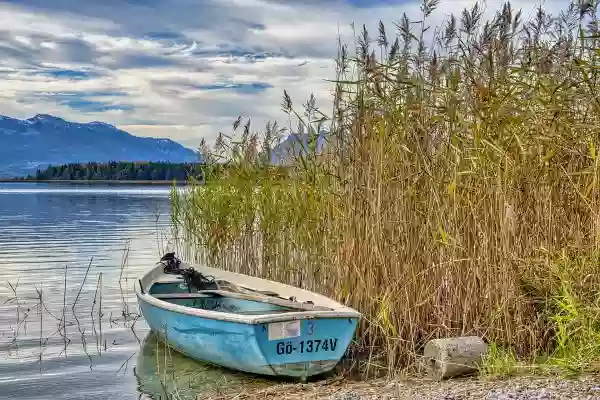 Foto de natureza ilustrativa do versículo da Bíblia: Daniel 4:9 - Ó Beltessazar, chefe dos magos, porquanto eu sei que há em ti o Espírito dos deuses santos, e nenhum mistério te é difícil, dize-me as visões do meu sonho que tive e a sua interpretação.