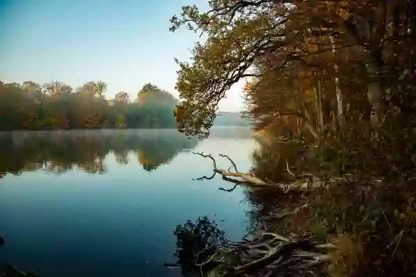 Foto de natureza ilustrativa do versículo da Bíblia: Levítico 9:6 - E disse Moisés: Esta é a coisa que o Senhor ordenou que fizésseis; e a glória do Senhor vos aparecerá.