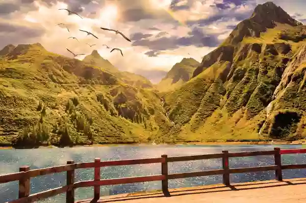 Foto de natureza ilustrativa do versículo da Bíblia: Daniel 1:11 - Então disse Daniel ao despenseiro a quem o chefe dos eunucos havia posto sobre Daniel, Hananias, Misael e Azarias: