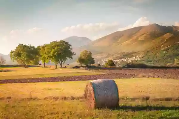 Foto de natureza ilustrativa do versículo da Bíblia: Levítico 8:17 - Mas o novilho com o seu couro, com a sua carne e com o seu excremento, queimou-o com fogo fora do arraial; como o Senhor lhe ordenara.