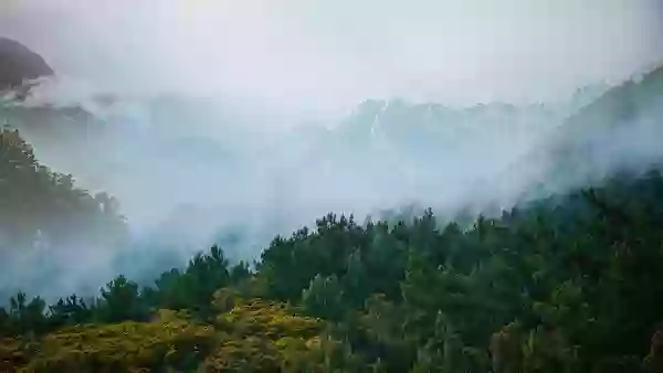 Foto de natureza ilustrativa do versículo da Bíblia: Ezequiel 48:4 - Junto ao termo de Naftali, desde a fronteira oriental até a fronteira ocidental, Manasses terá uma porção.