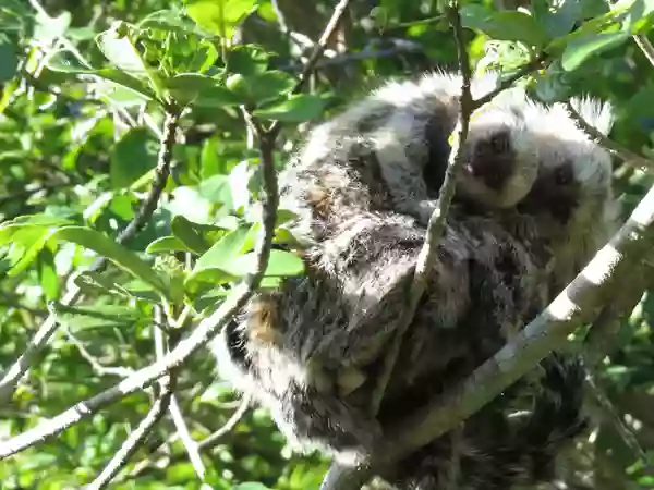 Foto de natureza ilustrativa do versículo da Bíblia: Isaías 41:9 - tomei desde os confins da terra, e te chamei desde os seus cantos, e te disse: Tu és o meu servo, a ti te escolhi e não te rejeitei;