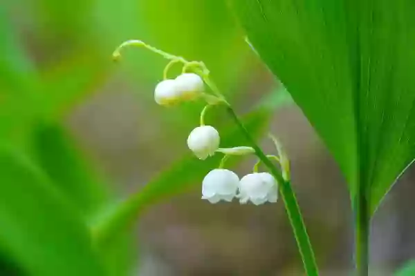 Foto de natureza ilustrativa do versículo da Bíblia: Mateus 10:42 - E aquele que der a beber um copo de água fria a um destes pequenos, em nome de discípulo, em verdade vos digo que de modo algum perderá a sua recompensa.