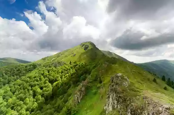Foto de natureza ilustrativa do versículo da Bíblia: Oséias 4:11 - A incontinência, e o vinho, e o mosto tiram o entendimento.