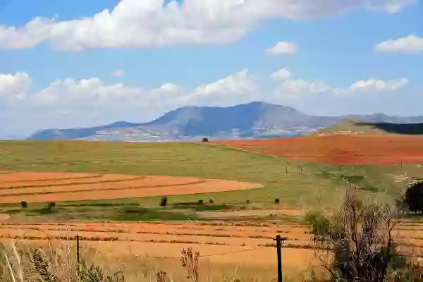 Foto de natureza ilustrativa do versículo da Bíblia: Isaías 42:3 - A cana trilhada, não a quebrará; nem apagará o pavio que fumega. Trará o juízo segundo a verdade.