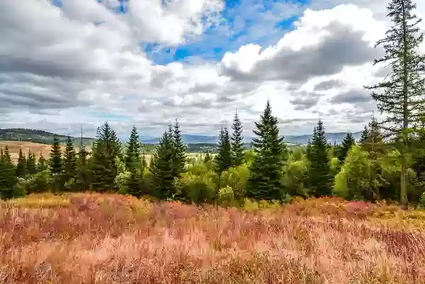 Foto de natureza ilustrativa do versículo da Bíblia: Isaías 40:23 - E ele o que reduz a nada os príncipes, e torna em coisa vã os juízes da terra.
