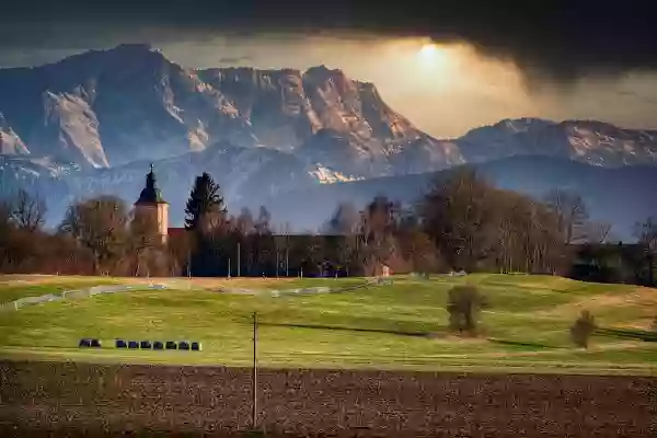 Foto de natureza ilustrativa do versículo da Bíblia: Daniel 4:12 - A sua folhagem era formosa, e o seu fruto abundante, e havia nela sustento para todos; debaixo dela os animais do campo achavam sombra, e as aves do céu faziam morada nos seus ramos, e dela se mantinha toda a carne.