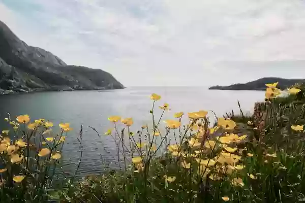 Foto de natureza ilustrativa do versículo da Bíblia: Mateus 9:25 - Mas, ao ser afastado o povo, Jesus entrou e tomou-a pela mão, e a menina se levantou.