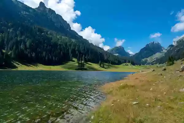 Foto de natureza ilustrativa do versículo da Bíblia: Mateus 13:10 - E aproximando-se os discípulos, disseram-lhe: Por que lhes falas por parábolas?