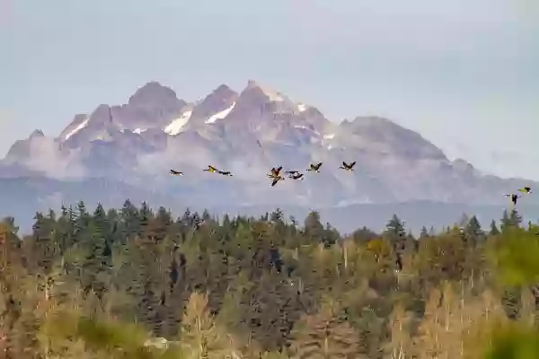 Foto de natureza ilustrativa do versículo da Bíblia: Daniel 1:18 - E ao fim dos dias, depois dos quais o rei tinha ordenado que fossem apresentados, o chefe dos eunucos os apresentou diante de Nabucodonozor.