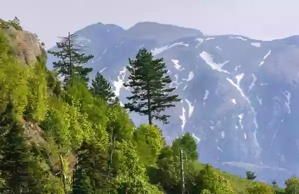 Foto de natureza ilustrativa do versículo da Bíblia: Mateus 9:35 - E Jesus percorreu todas as cidades e vilas, ensinando nas sinagogas deles, pregando o evangelho do reino, e curando toda enfermidade e toda doença entre o povo.