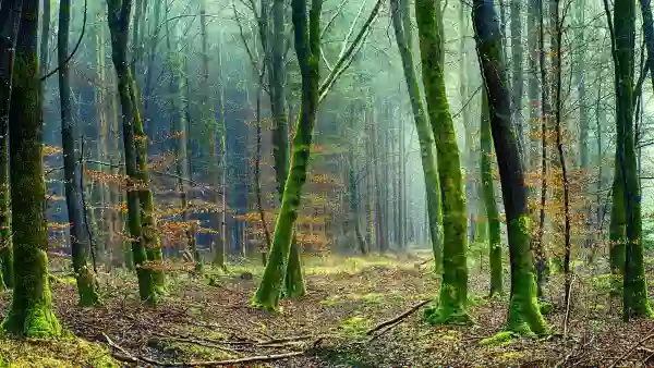 Foto de natureza ilustrativa do versículo da Bíblia: Daniel 8:19 - E disse: Eis que te farei saber o que há de acontecer no último tempo da ira; pois no tempo determinado, será o fim.