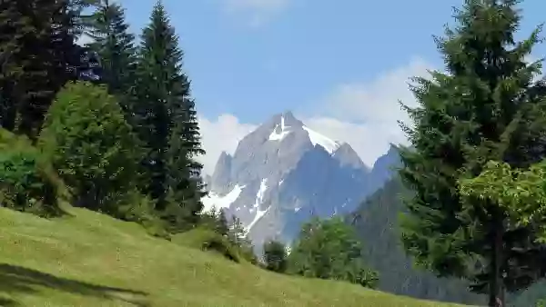 Foto de natureza ilustrativa do versículo da Bíblia: Ezequiel 47:23 - E será que na tribo em que peregrinar o estrangeiro, ali lhe dareis a sua herança, diz o Senhor Deus.